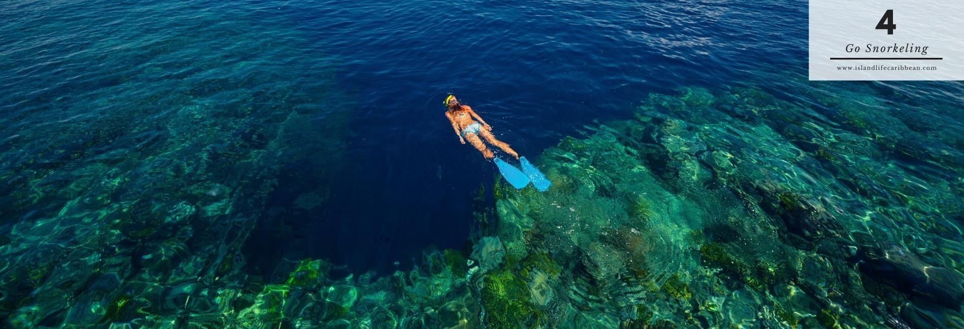 Turks & Caicos Visitors Guide. The Best Things To Do In Turks and Caicos.