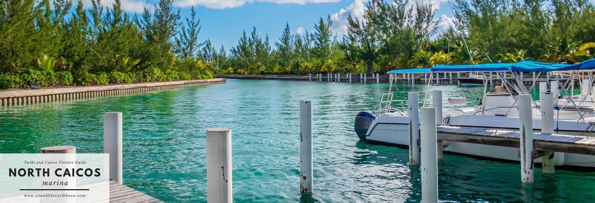 Turks & Caicos Visitors Guide. The Best Things To Do In Turks and Caicos.