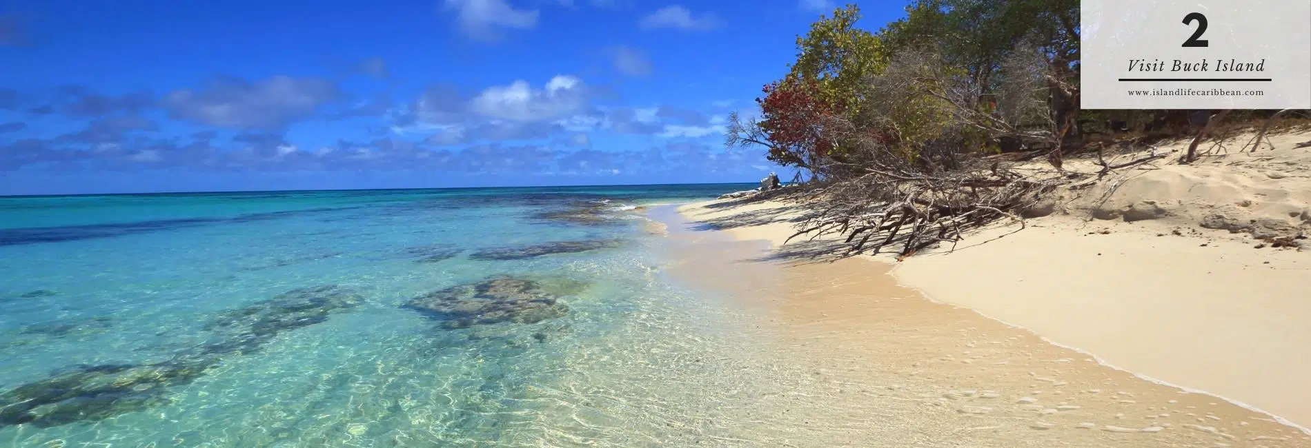 The Best Things To Do In US Virgin: Visit Buck Island