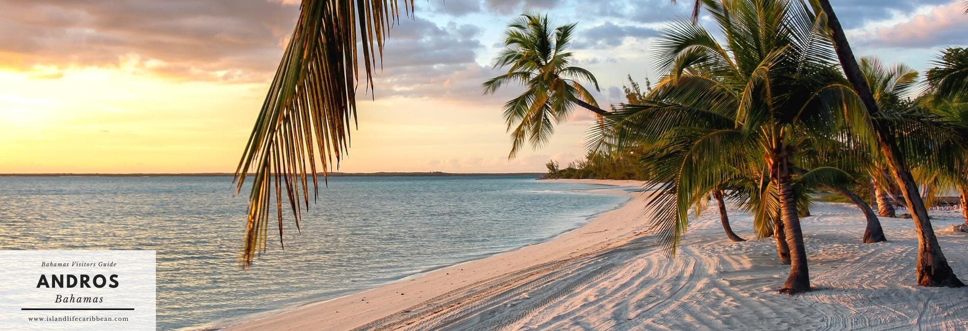 Bahamas Travel Guide May 2024