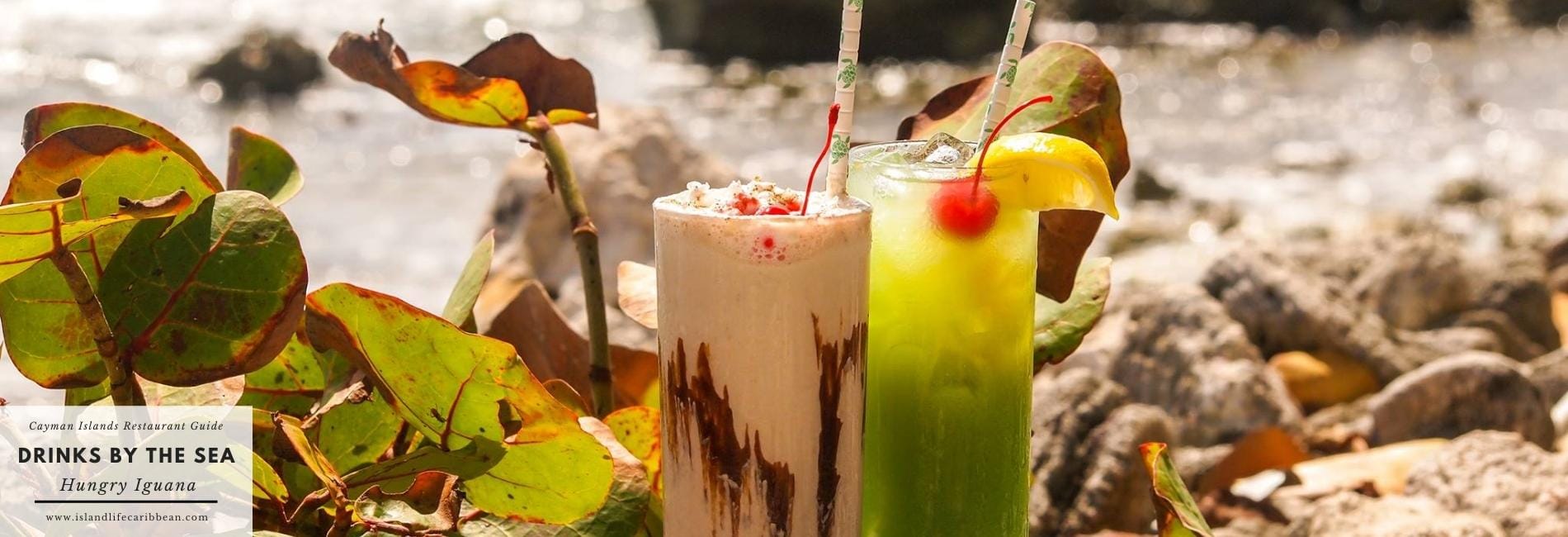 Cayman Islands Restaurants Guide: The Best Restaurants in Cayman Islands