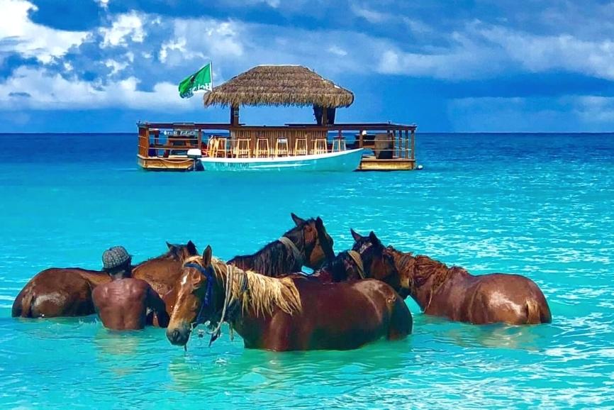 The Best Antigua Restaurants: Kon Tiki Bar