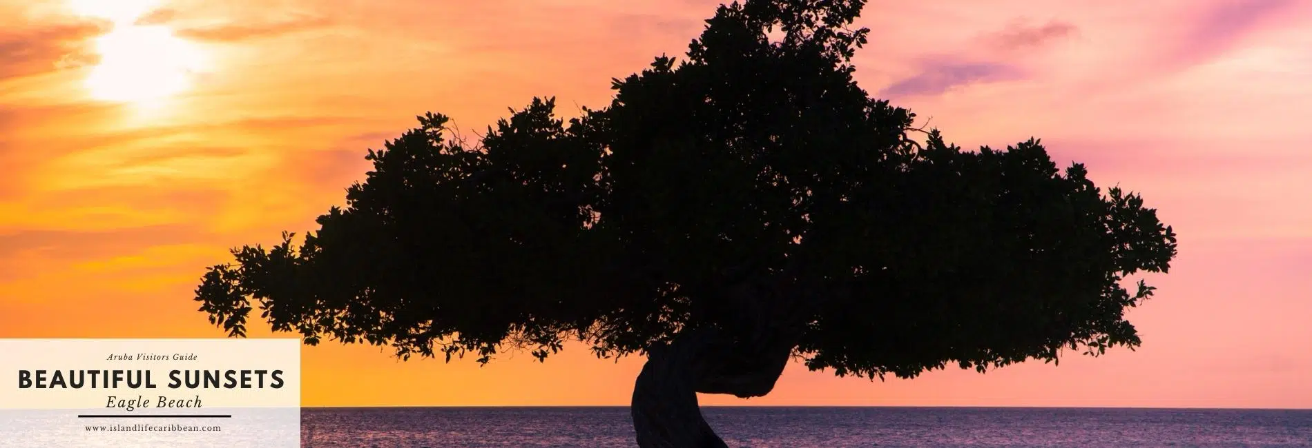 Aruba Visitors Guide: Beautiful Sunset