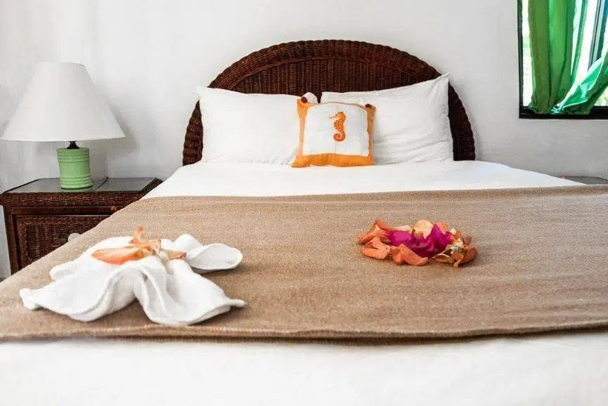 Dominican Republic Hotel Guide: Riviera Punta Cana Eco Travelers House