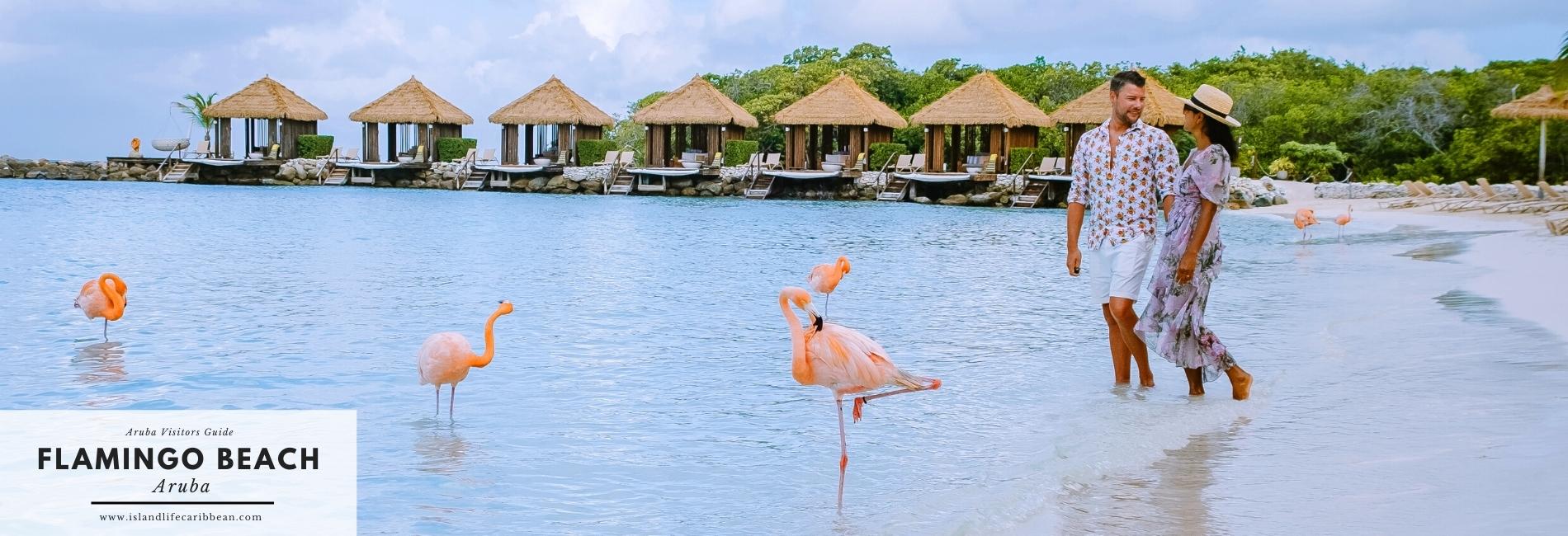 Aruba Visitors Guide: Flamingo Beach