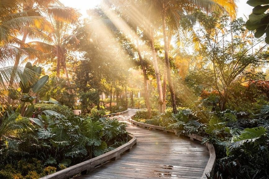 Best Puerto Rico All Inclusive Resorts: St. Regis Bahia Beach Resort