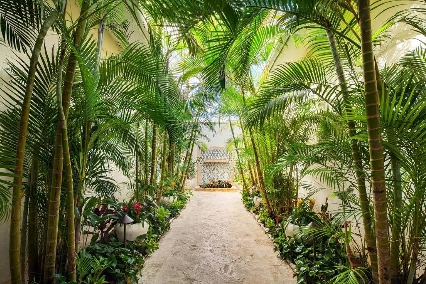 Best Puerto Rico All Inclusive Resorts: St. Regis Bahia Beach Resort