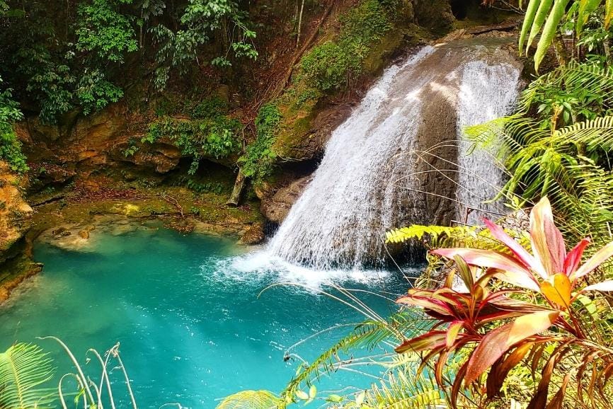 The Best Jamaica Waterfalls In August 2024 (Ultimate Guide)