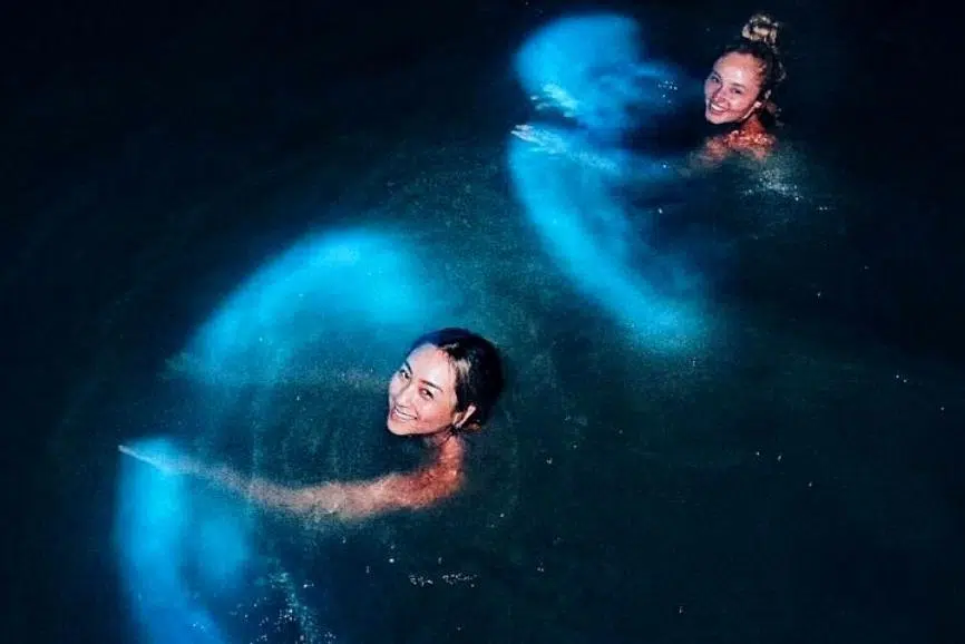 Puerto Rico bioluminescent bays: The best bioluminescent bays in Puerto Rico