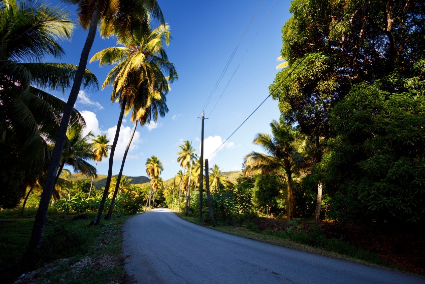 Antigua Visitors Guide - Hit The Road On Fig Tree Drive