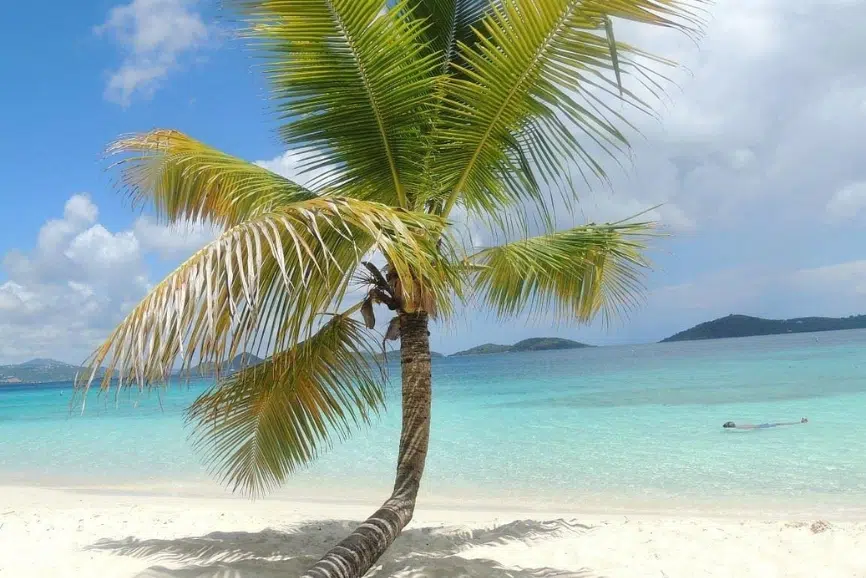 Best USVI All Inclusive Resorts: Gallows Point Resort