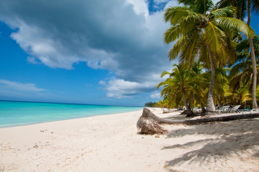 Punta Cana Visitors Guide: How To Get There & The Best Things To Do In Punta Cana