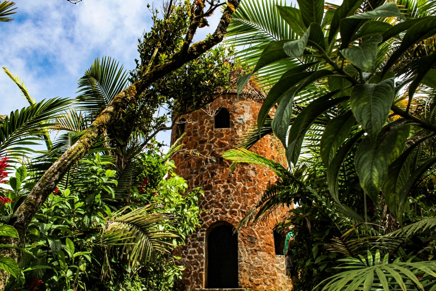 The Best Things To Do In Puerto Rico: Explore El Yunque
