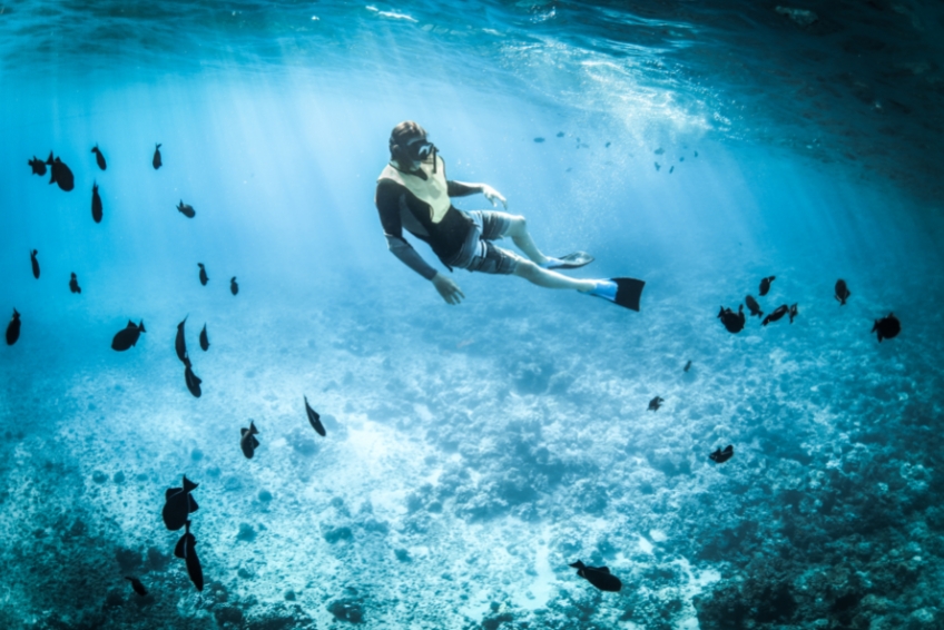 The Best Things To Do In US Virgin Islands: Diving Snorkeling