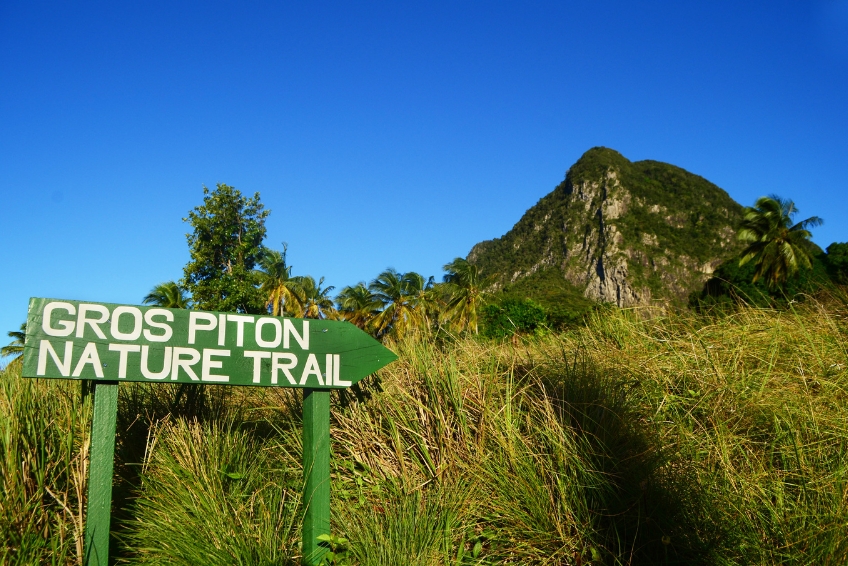 The Best Things To Do In St. Lucia: Take A Hike