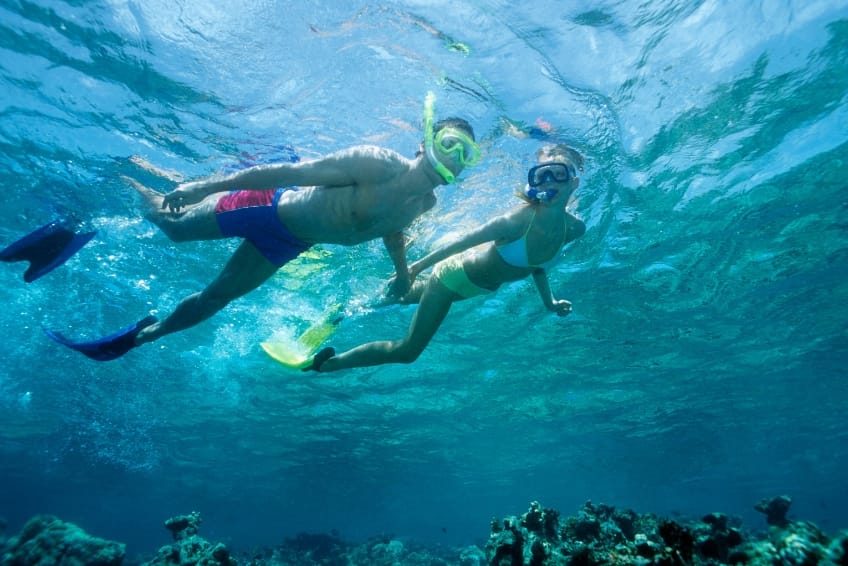 Snorkelers Aruba Snorkeling