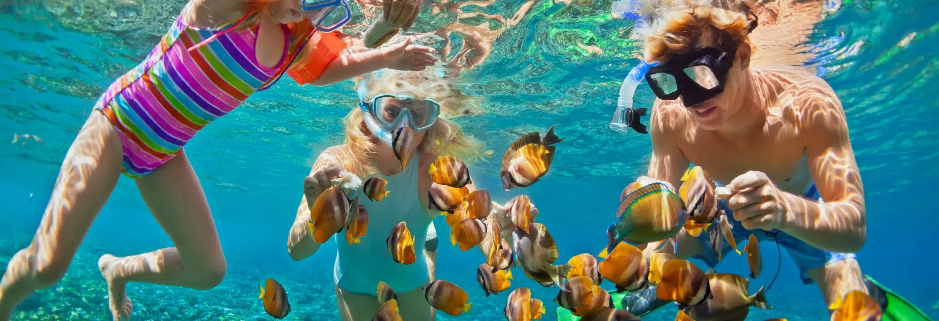 Aruba Snorkeling Guide For October 2025 | Island Life Caribbean