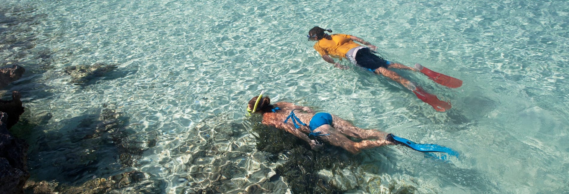Aruba Snorkeling Guide For April 2024 Island Life Caribbean