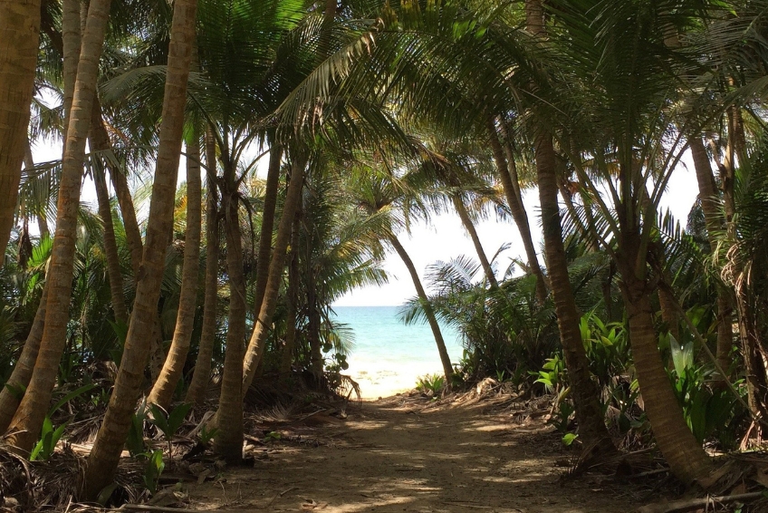 Best Things To Do In Puerto Rico: Humacao Ecotourism Natural Reserve