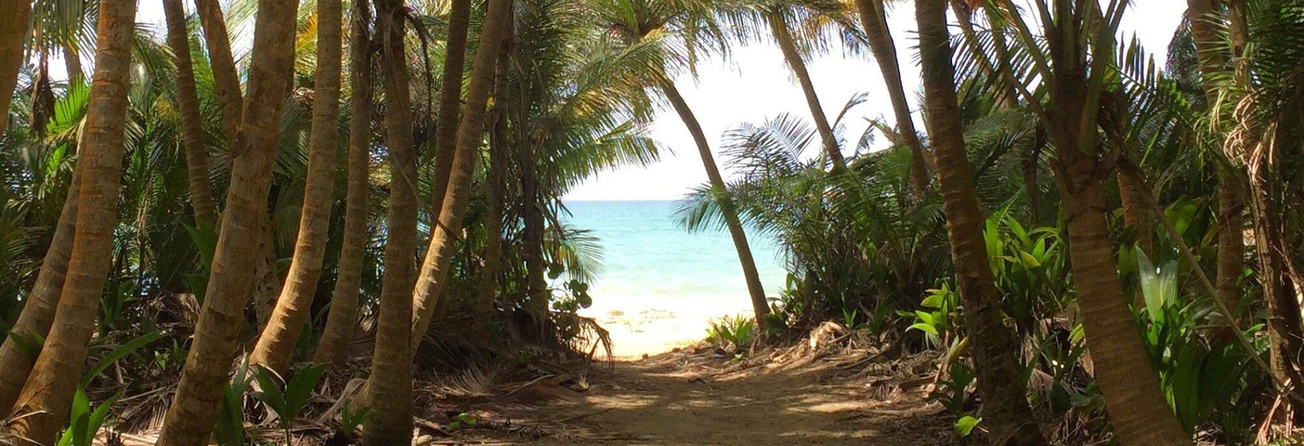 Best Things To Do In Puerto Rico: Humacao Ecotourism Natural Reserve