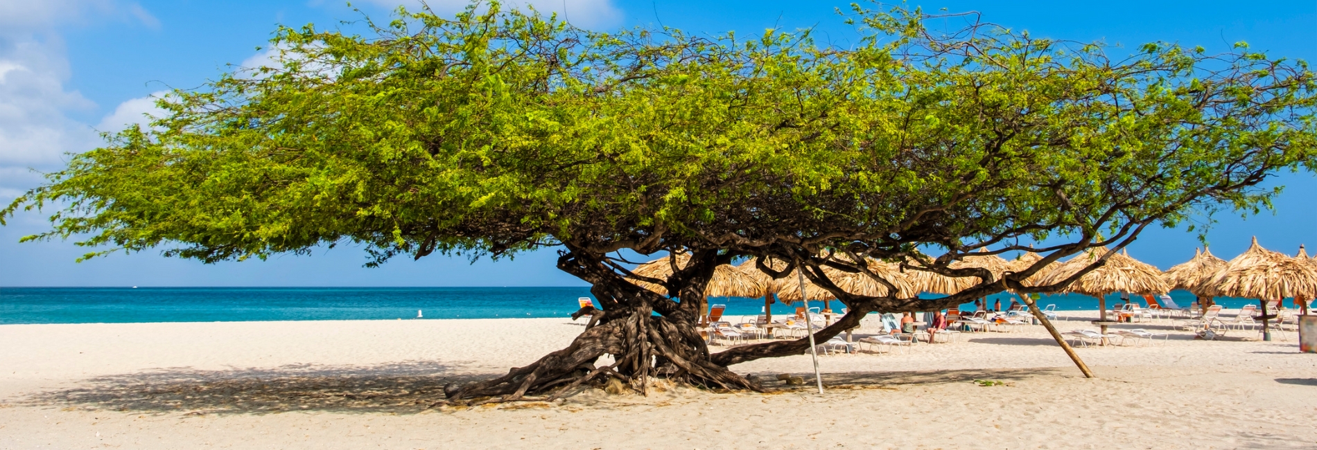 The Best Things To Do In Aruba: Beach Hopping