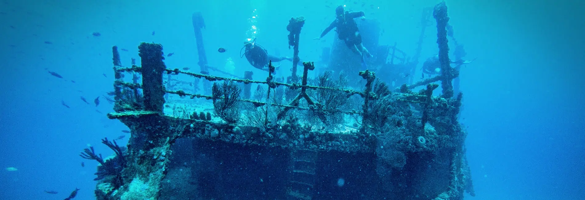 The Best Things To Do In Aruba: Snorkel & Scuba Dive