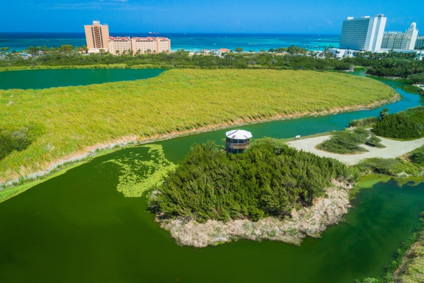 Aruba Visitors Guide: Views From Bubali Bird Observation Tower
