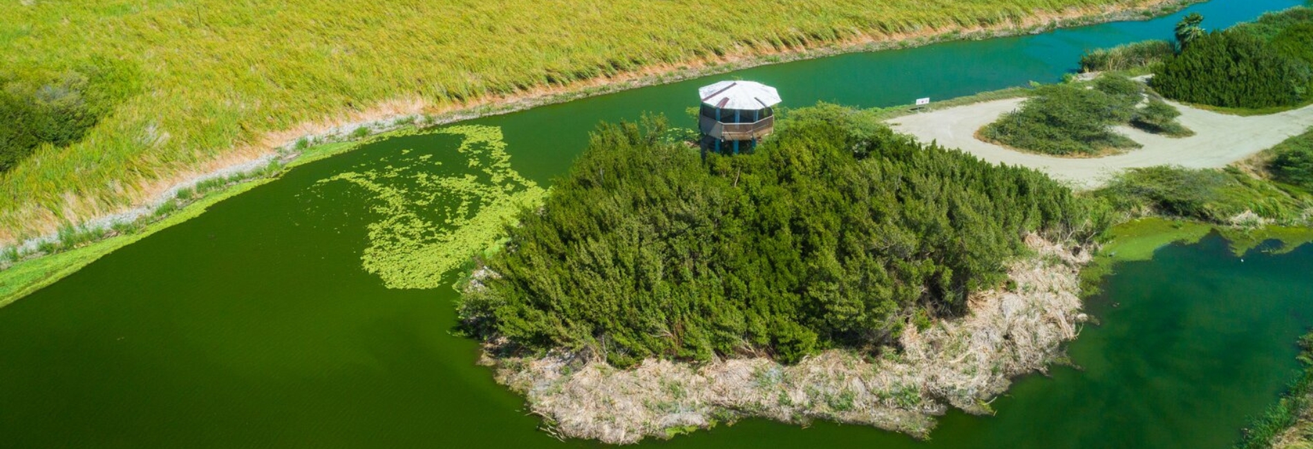 Aruba Visitors Guide: Views From Bubali Bird Observation Tower