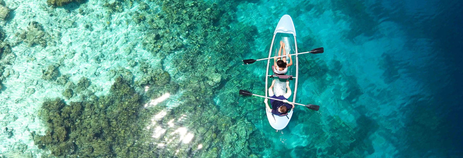 Aruba Visitors Guide: Experience Crystal Clear Kayaking