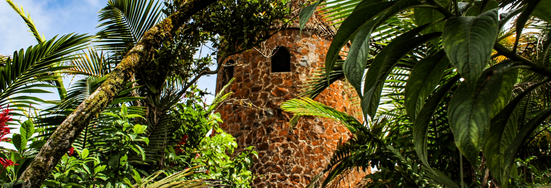 Puerto Rico Visitors Guide: Explore El Yunque