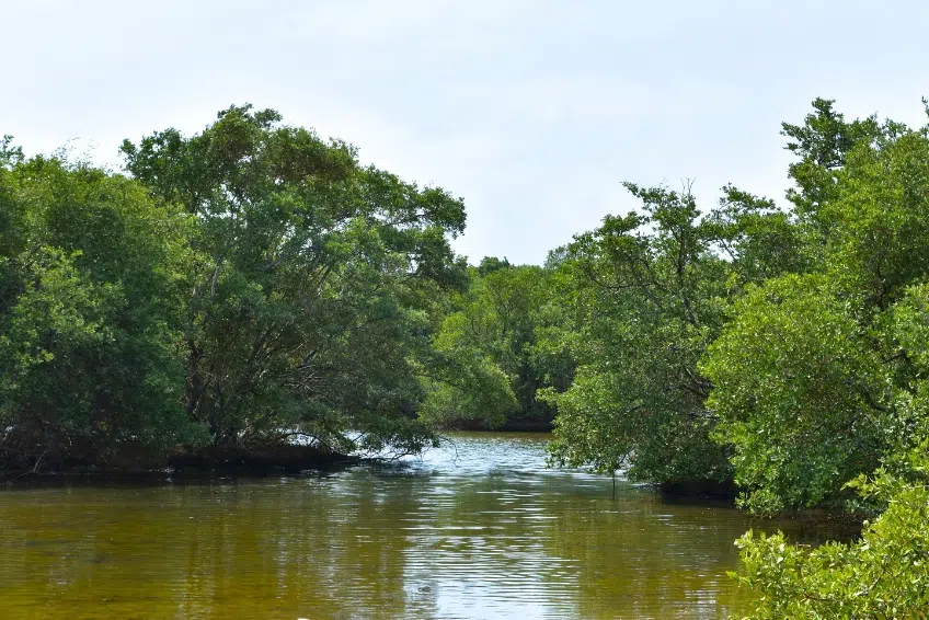 20 Things To Do In Aruba Aruba Visitors Guide For 2024