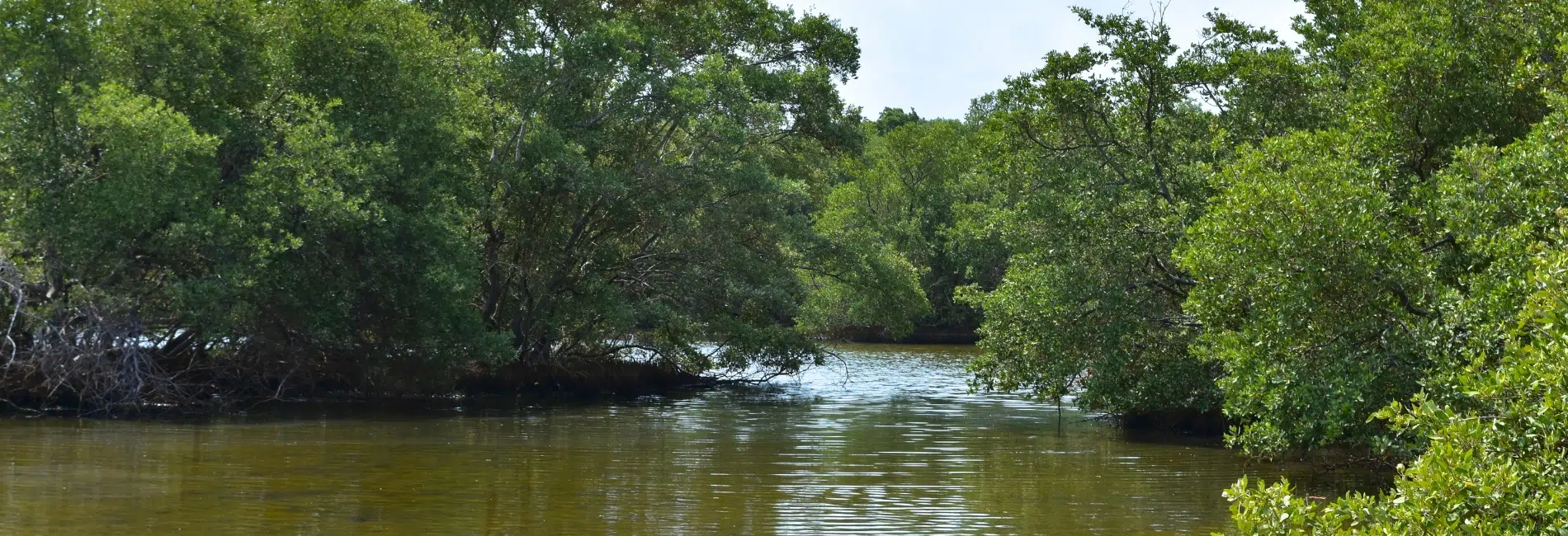 Aruba Visitors Guide: Marvel At Frenchman’s Pass and Spanish Lagoon