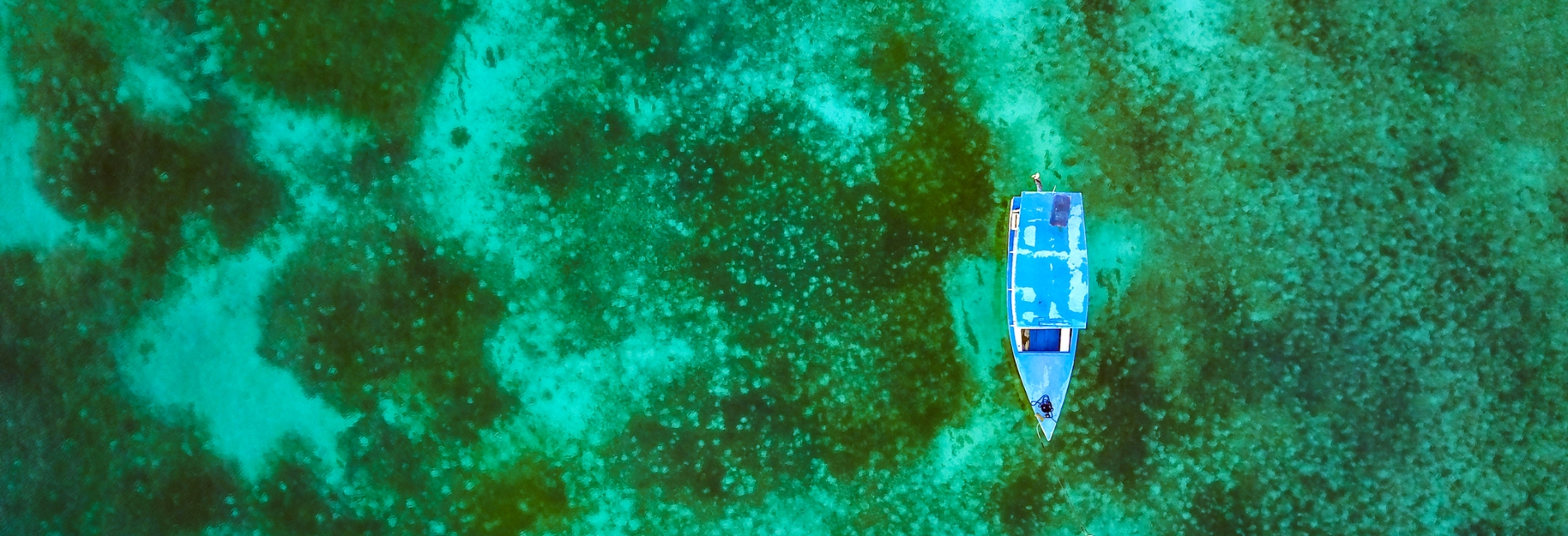 The Best Things To Do In Jamaica: Diving Or Snorkeling