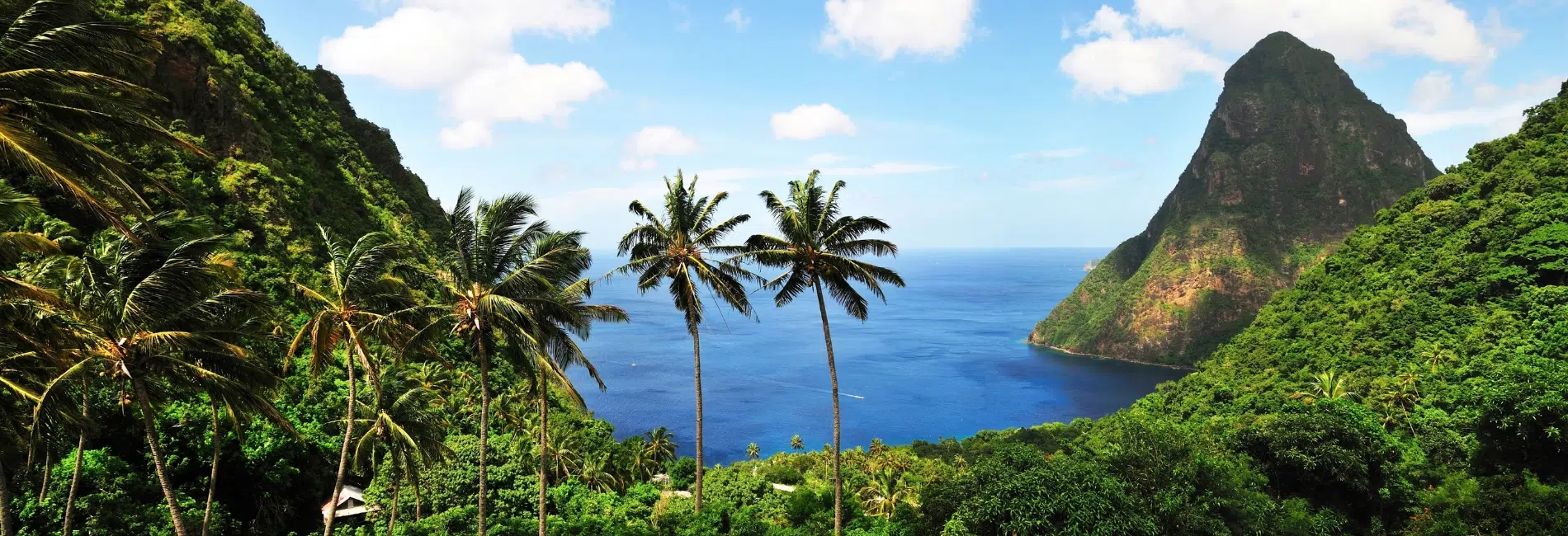 St. Lucia Visitors Guide. The best things to do in St Lucia. St. Lucia Visitors Guide. The best things to do in St Lucia.