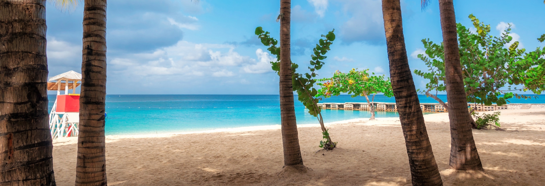 Jamaica Travel Guide: The Best Things To Do In Jamaica