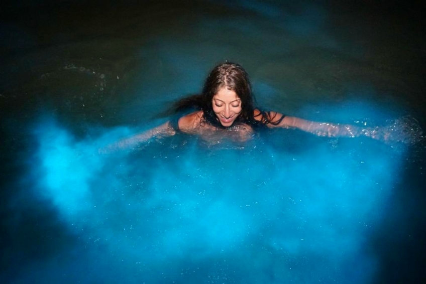 The Best Things To Do In Jamaica: Luminous Lagoon