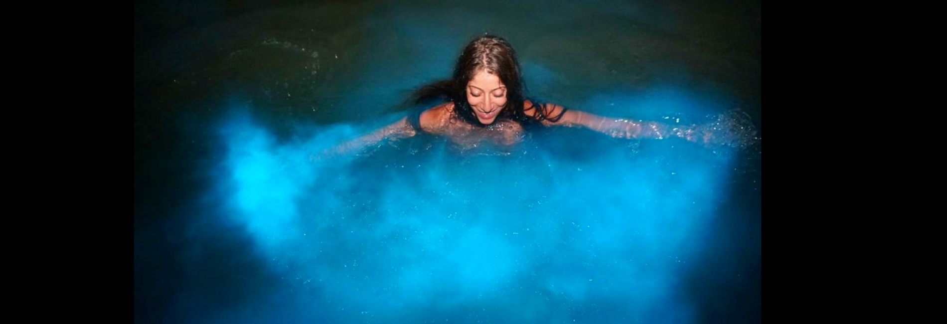 The Best Things To Do In Jamaica: Luminous Lagoon