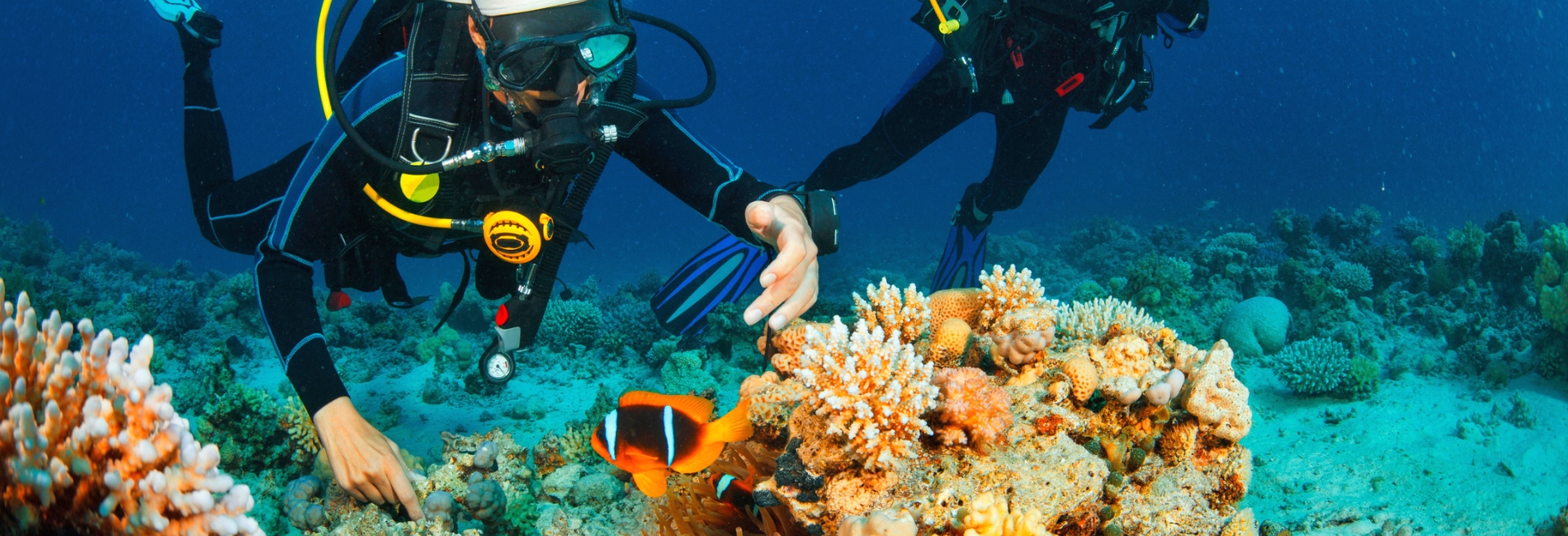 The Best Things To Do In Puerto Rico: Snorkel & Scuba Dive