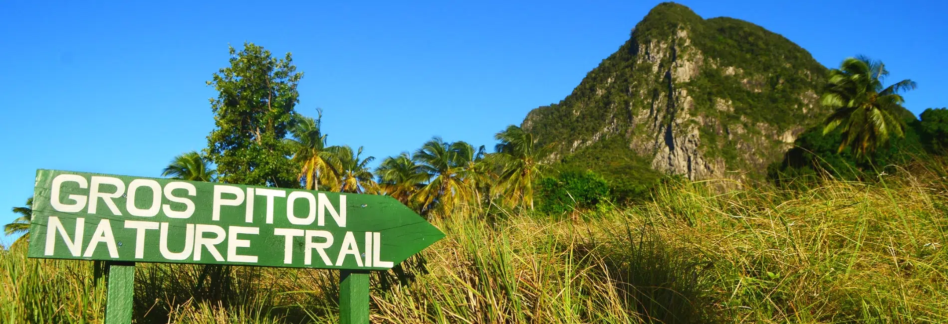 The Best Things To Do In St. Lucia: Take A Hike