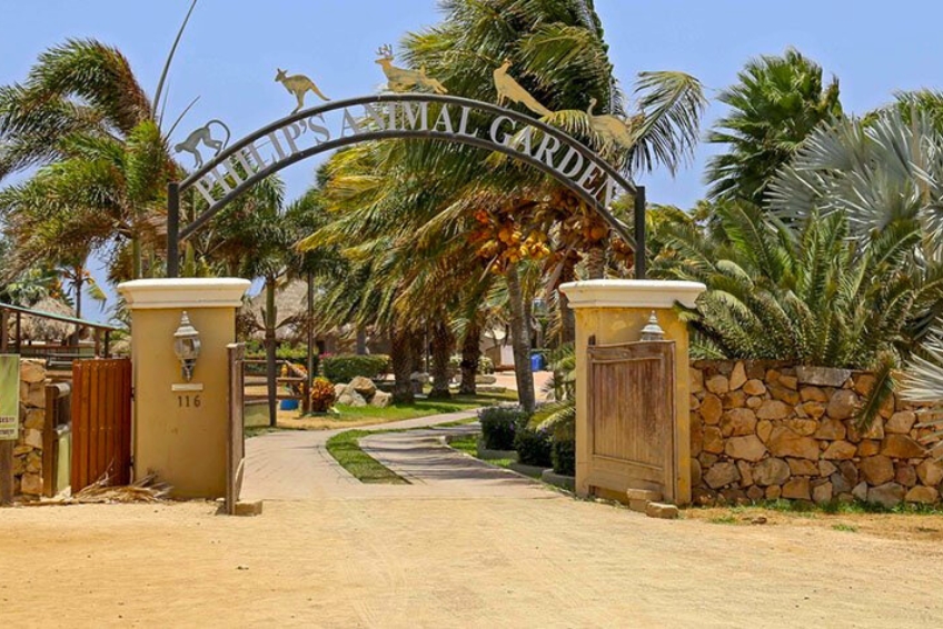 Aruba Visitors Guide: Visit The Animals At Philips Animal Garden