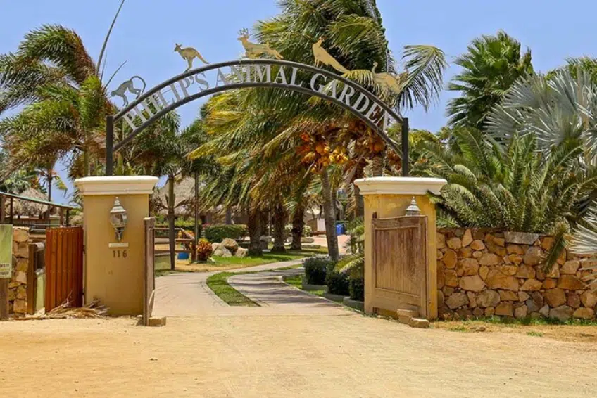 Aruba Visitors Guide: Visit The Animals At Philips Animal Garden