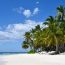 Pristine white sand beach in the Dominican Republic lined with palm trees, beach loungers, and turquoise Caribbean water under blue skies