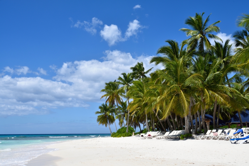 Pristine white sand beach in the Dominican Republic lined with palm trees, beach loungers, and turquoise Caribbean water under blue skies