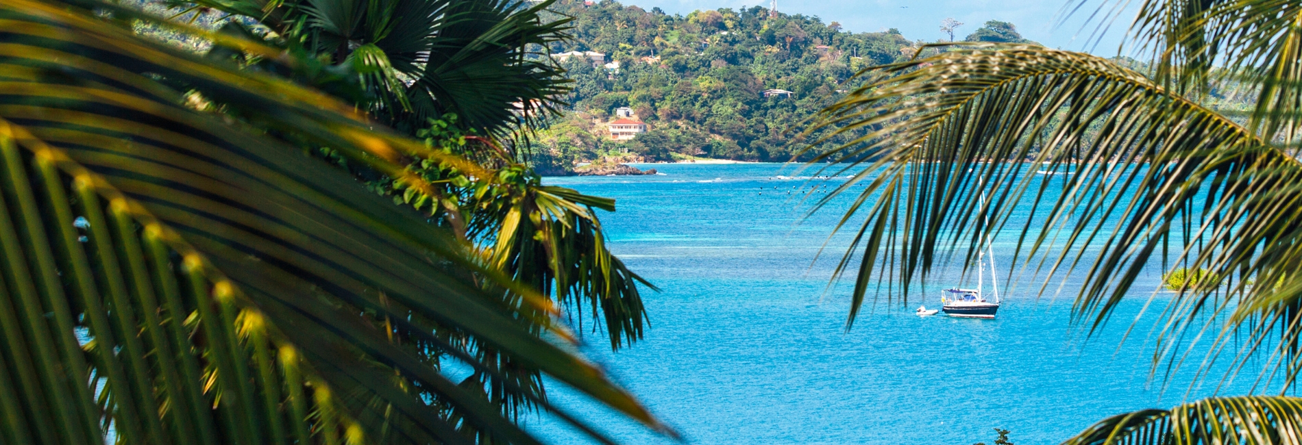 Jamaica Tropical Bay with Turquoise Water and Palm Trees Framing the View Vibrant turquoise bay in Jamaica framed by lush green palm fronds with a sailboat anchored in the water
