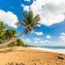 Scenic beach in Puerto Rico with palm trees, golden sand, rocky coastline, turquoise water, and blue sky with white clouds