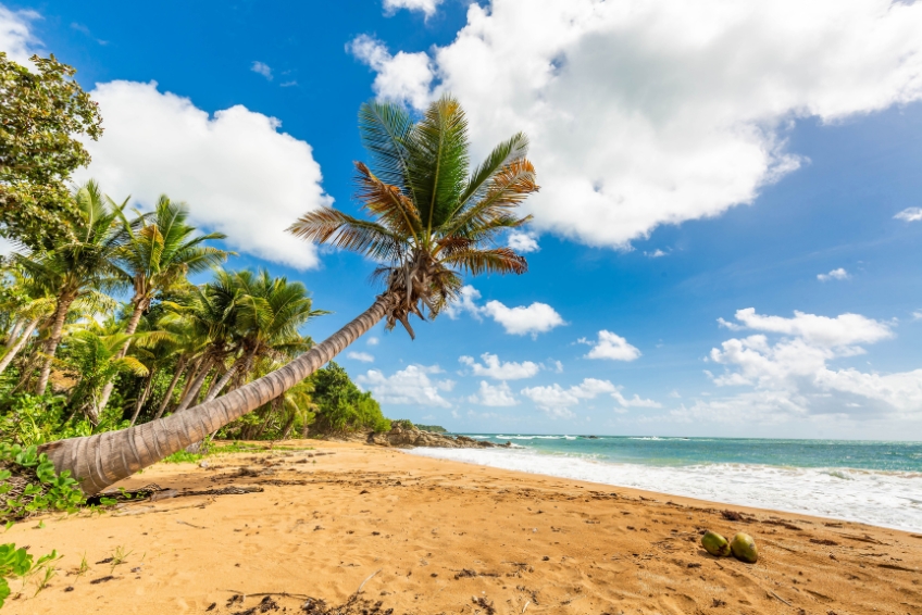 Scenic beach in Puerto Rico with palm trees, golden sand, rocky coastline, turquoise water, and blue sky with white clouds