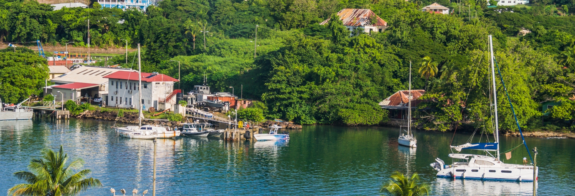 St. Lucia Harbor with Boats and Lush Green Hillside Village Scenic harbor in St. Lucia with sailboats and fishing boats anchored in calm blue water, colorful buildings, and lush green tropical hillside