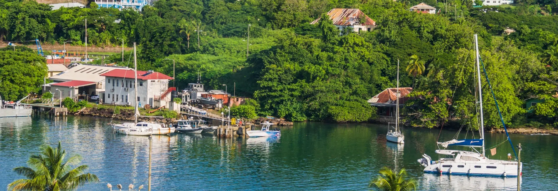 Scenic harbor in St. Lucia with sailboats and fishing boats anchored in calm blue water, colorful buildings, and lush green tropical hillside