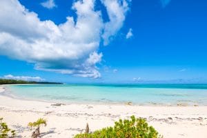 Pristine white sand beach in Turks and Caicos with stunning turquoise water, blue sky with white clouds, and lush vegetation along the shoreline