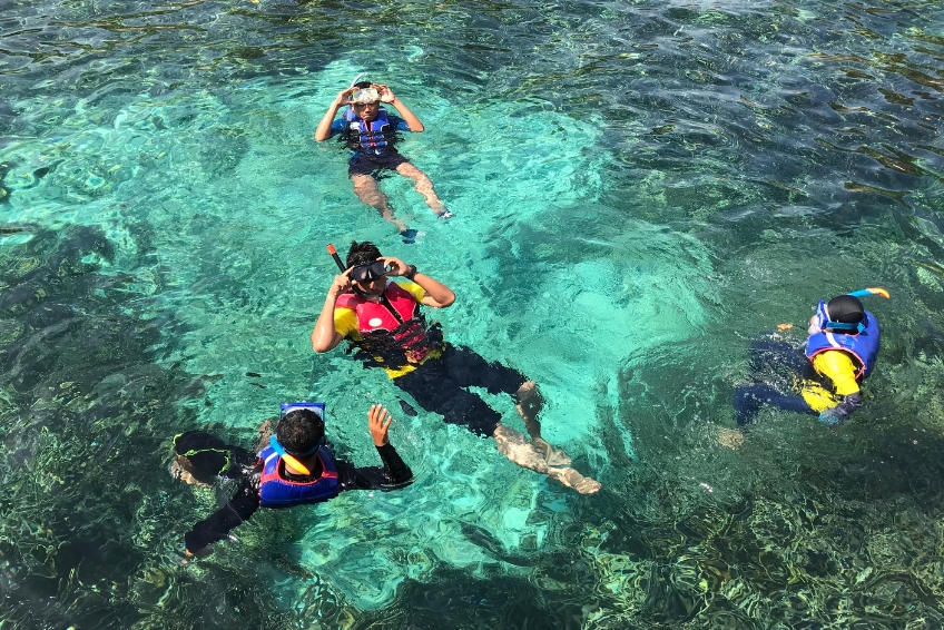 Snorkel or Dive at Bimini Road
